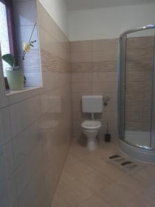 Koupelna v ubytování Apartmani Gojko