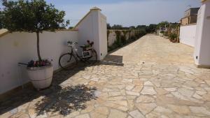 una bicicletta parcheggiata accanto a un muro con un albero di Stella Dei Campi a Sternatia