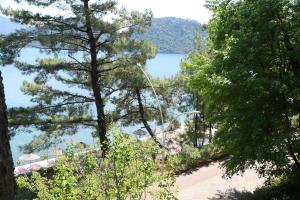 a view of a lake from between two trees at Marmaris Park Hotel in Marmaris
