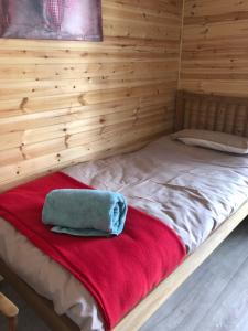 a bed with a red blanket and a blue pillow on it at 1 Lochness Rooms&Hostel in Drumnadrochit