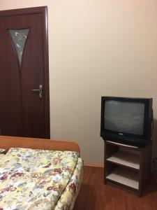 1 dormitorio con 1 cama y TV en un soporte en Sadyba u Mykhaila en Koson