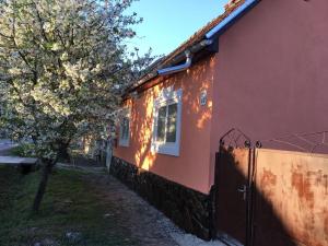 a red house with a fence next to a tree at Sadyba u Mykhaila in Koson