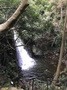 uma cascata no meio de uma floresta em Casa Erta Castello em Santu Lussurgiu