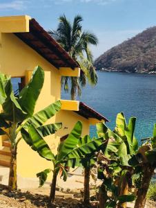 a yellow house with a palm tree next to the ocean at Casa Berita in Yelapa