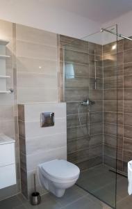 uma casa de banho com um WC e uma cabina de duche em vidro. em Domki Białogóra em Białogóra