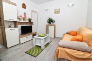 een woonkamer met een bank en een tv bij Apartment Edi in Pula
