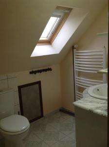 a bathroom with a toilet and a sink and a skylight at L' ancien pressoir 2 in Pierrefitte-en-Cinglais