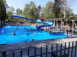 eine Gruppe von Menschen in einem Schwimmbad in der Unterkunft Chalet Hoenderloo Den in Hoenderloo