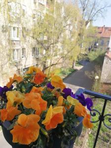 a bouquet of flowers in a vase on a balcony at Class Apartment in Szeged