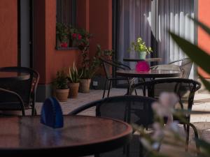 a row of tables and chairs with potted plants at Luna in Zielona Góra