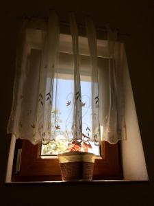 Fotografie z fotogalerie ubytování Julius Vendégház v destinaci Sopron