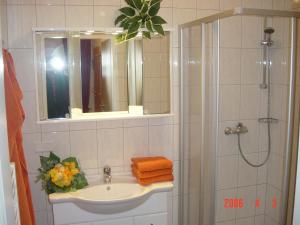 Koupelna v ubytování Haus Rigl