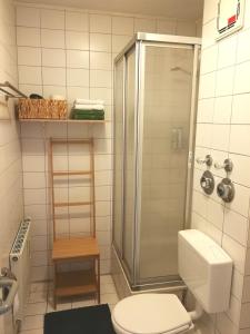 a bathroom with a shower and a toilet at Quiet City-Apt, 4min City-Center, 18min Fair Nürnberg!!! in Nürnberg