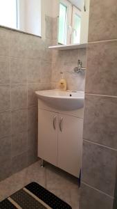 ein Badezimmer mit einem weißen Waschbecken und einem Spiegel in der Unterkunft Apartman Košuta 2 in Tjentište
