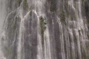 Fotografie z fotogalerie ubytování Templenoe Paradise v destinaci Te Anau