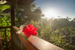 une fleur rouge assise sur un banc en bois dans l'établissement Villa Wedang, à Tegalalang