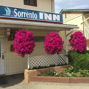 una tienda con flores rosas en la parte delantera en Sorrento Inn Motel en Sorrento