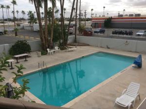 尤馬的住宿－火炬旅館，一座大型蓝色游泳池