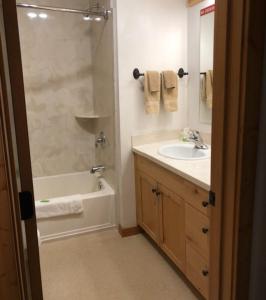 a bathroom with a sink and a shower and a tub at High Country Motel in Bellevue