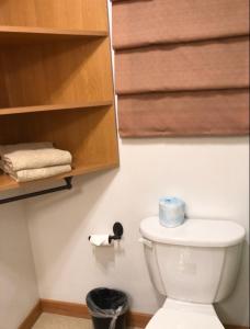 a bathroom with a toilet with a roll of toilet paper at High Country Motel in Bellevue