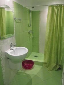 baño verde con lavabo y ducha en Samida en Novy Afon