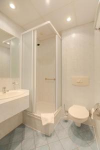 a bathroom with a shower and a toilet and a sink at Hotel Zajazd Piastowski in Kazimierz Dolny