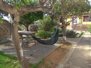 Jardín al aire libre en BuenaOnda