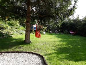 a hammock hanging from a tree in a yard at Studio in Krakow