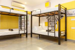 2 łóżka piętrowe w pokoju z żółtymi ścianami w obiekcie Locul Uptown - Near Bangalore Palace Grounds w mieście Bengaluru