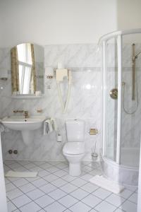 ein Bad mit einem WC, einer Dusche und einem Waschbecken in der Unterkunft Alte Villa Schlossblick in Bad Pyrmont