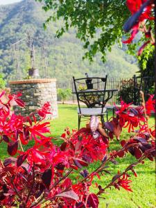 Pieve di Teco的住宿－Green House，院子里的灌木丛,花朵红色,椅子