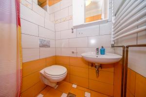a bathroom with a toilet and a sink at Porto Romantico 2 in Sveti Juraj