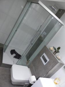 a bathroom with a toilet and a mirror at Schöne komplette Ferienwohnung in Wesel in Wesel
