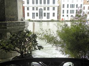 a view of a river from a balcony with plants at La Felice Canal Grande in Venice
