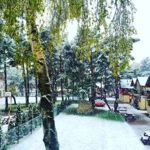 Przyroda w pobliżu tego domku letniskowego