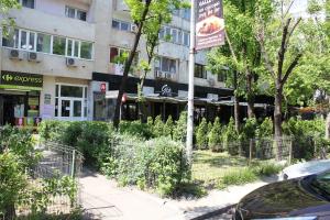 un edificio en una calle con árboles y arbustos en Alba Iulia square Premium Studio 1, en Bucarest