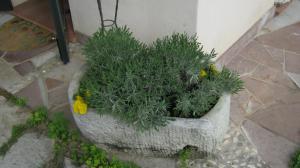 A garden outside La Residence da Caterina