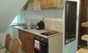 een kleine keuken met een spoelbak en een fornuis bij Apartman Joca Zlatibor in Zlatibor