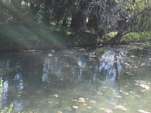 Gallery image of Au Bord de La Dhuy in Orges