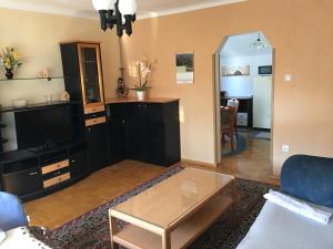 ein Wohnzimmer mit einem Sofa und einem TV in der Unterkunft Apartment Rose in Jesenice