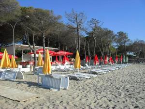a group of chairs and umbrellas on a beach at A beautiful Beach house Marea Resort in Golem