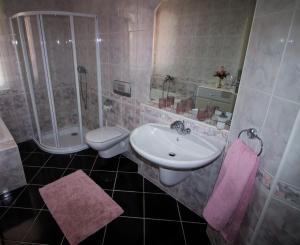 エゲルにあるBoros Vendégház Egerのバスルーム(シンク、シャワー、トイレ付)