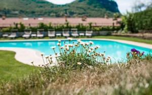 a swimming pool with chairs and flowers in the grass at Hotel Alessandra in Garda