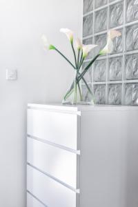 Фотография из галереи Apartments Tonka Centar в Водице