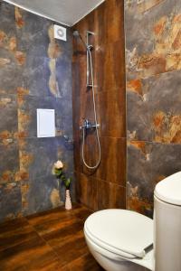 Gallery image of Family Hotel Dzhangal in Bansko