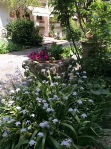 Zahrada ubytování B&B Oasi di Venezia