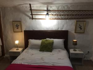 Causses-et-VeyranにあるLa Fontainebleuのベッドルーム1室(緑の枕が付いたベッド1台付)