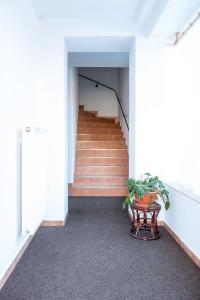 un pasillo con escaleras y una mesa con plantas en Alton garni hotel, en České Budějovice