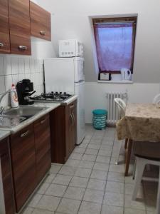 Köök või kööginurk majutusasutuses Harmatcsepp Apartmanház