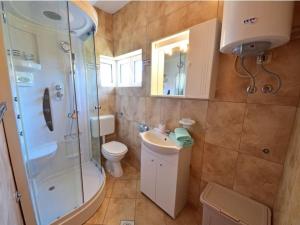 a bathroom with a shower and a toilet and a sink at Apartments Golub in Cesarica +70 photos